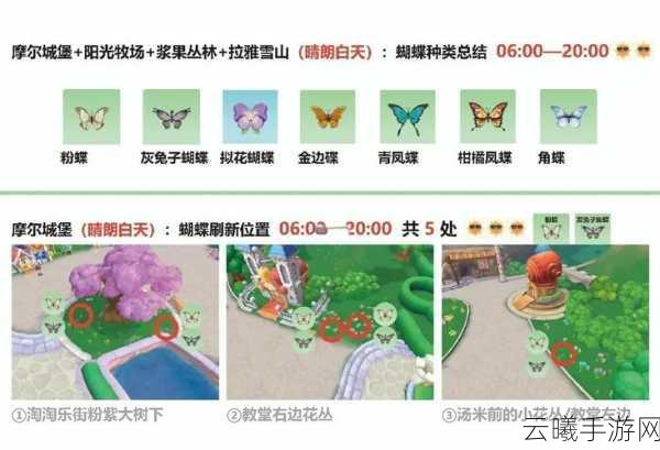 摩尔庄园手游，蝴蝶兰获取全攻略及趣味玩法揭秘
