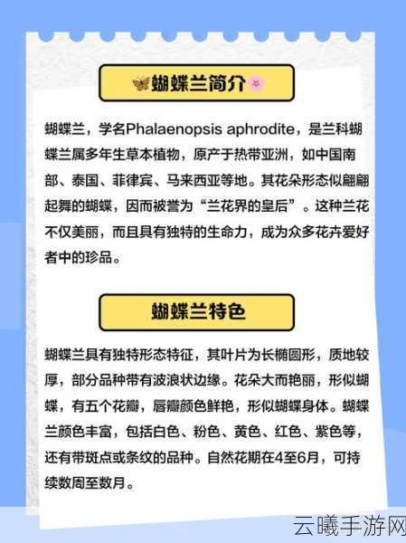 摩尔庄园手游，蝴蝶兰获取全攻略及趣味玩法揭秘
