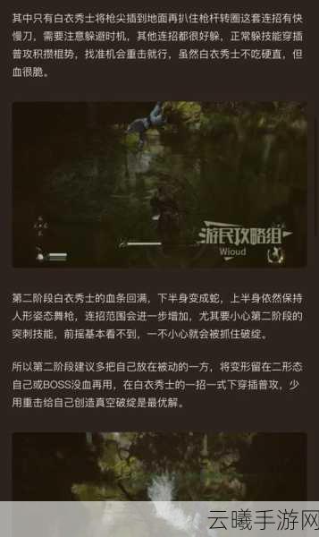 黑神话，悟空白衣秀士加点攻略与趣味玩法揭秘