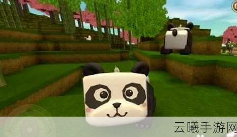 迷你世界熊猫吃什么？熊猫食物介绍及趣味玩法探索