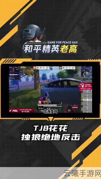 和平精英单机模式全面解析，独狼挑战，策略与技巧的终极试炼