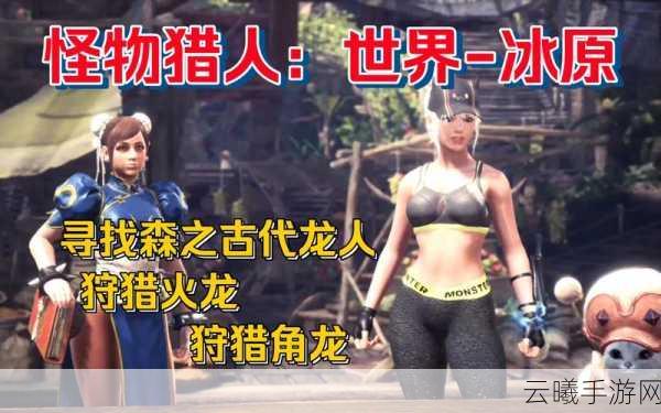 冰原守卫者火结晶蜕变之旅，解锁火龙晶的奥秘