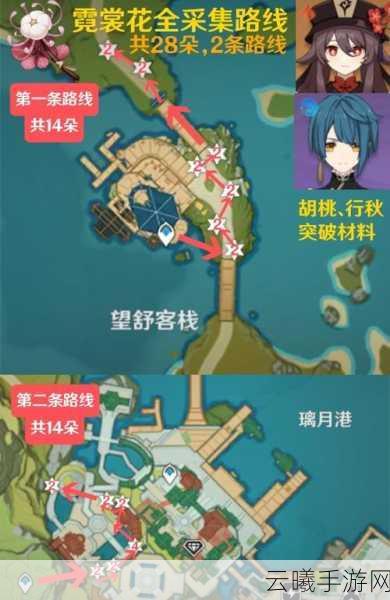 原神塞西莉亚花寻觅之旅，位置介绍与趣味玩法探索