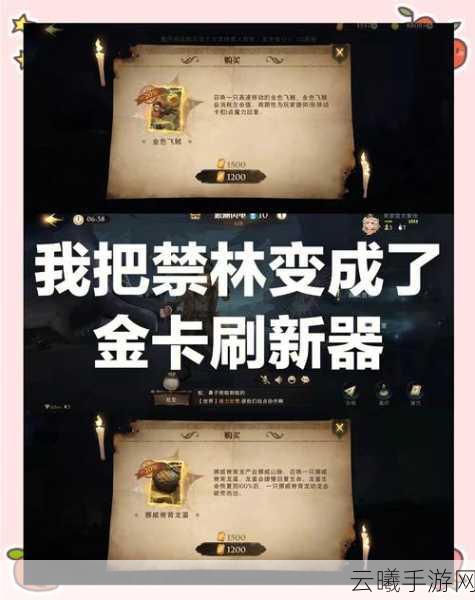 哈利波特，魔法觉醒禁林商人位置揭秘及趣味玩法探索
