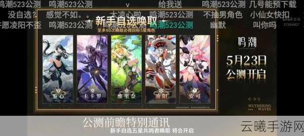 鸣潮多人游戏解锁等级揭秘及趣味玩法大赏