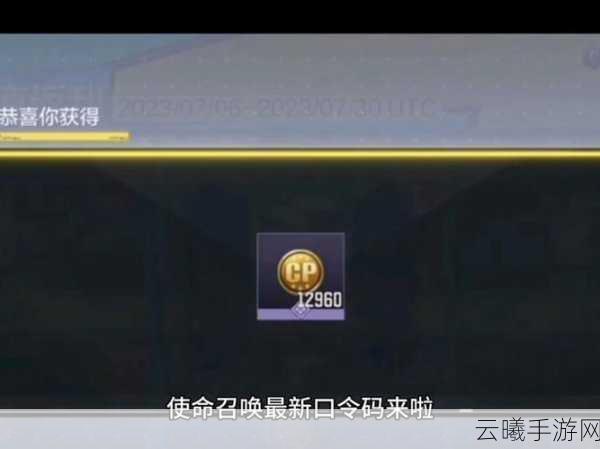 使命召唤手游,如何正确输入兑换码及趣味玩法揭秘