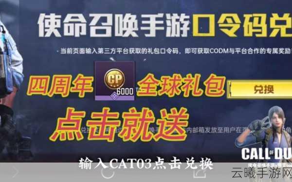 使命召唤手游,如何正确输入兑换码及趣味玩法揭秘