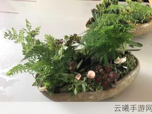 第五人格绿色盛宴,共赴春意植树节活动盛大启幕,探索庄园新绿意!