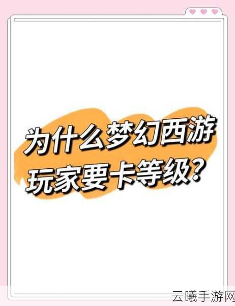 梦幻西游手游卡级别攻略,卡级规则与趣味玩法详解