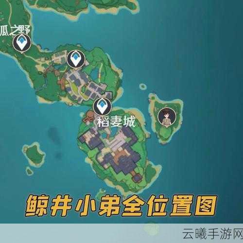 原神鲸井小弟位置大全及趣味寻宝玩法深度解析