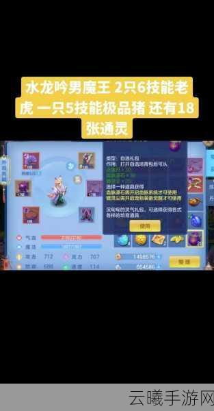 神武4手游快速升级全攻略,畅享回合制战斗乐趣