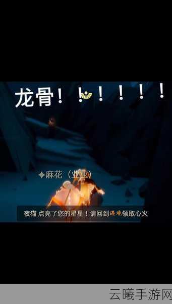 怪物猎人世界手游,揭秘重龙骨获取攻略与趣味玩法