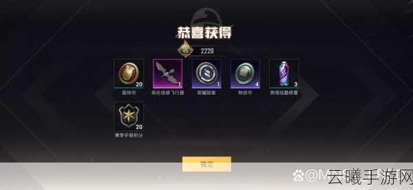 和平精英游乐券获取攻略,快速解锁平底锅皮肤的趣味之旅