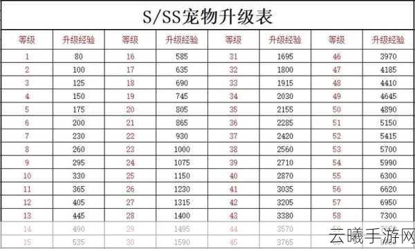 疯狂骑士团闪避流宠物搭配攻略，打造无敌闪避王者之路