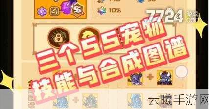 疯狂骑士团闪避流宠物搭配攻略,打造无敌闪避王者之路