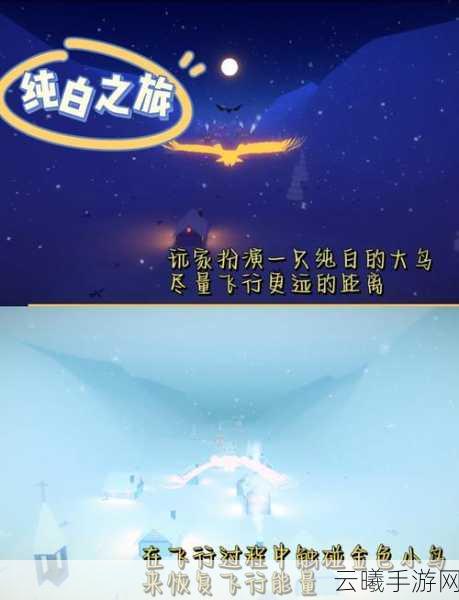 光遇白鸟版，探索梦幻世界的治愈之旅，冒险新篇章盛大开启，梦幻玩法等你来体验！