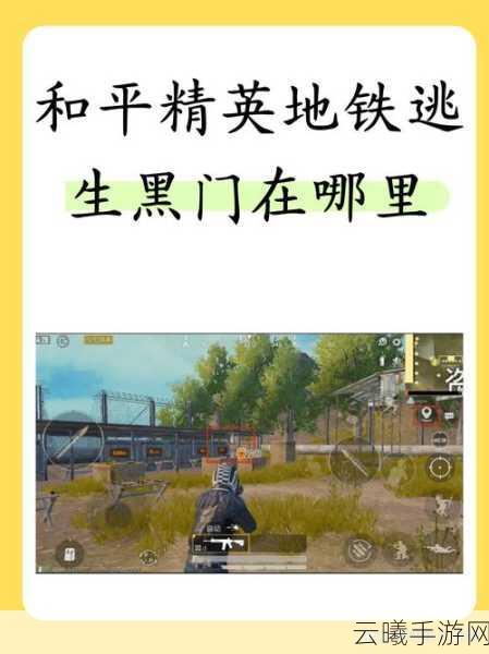 和平精英常用术语全解析及趣味玩法探索