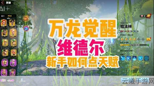 万龙觉醒克莱恩天赋加点详解及地图探险全攻略,解锁未知世界的奇妙之旅