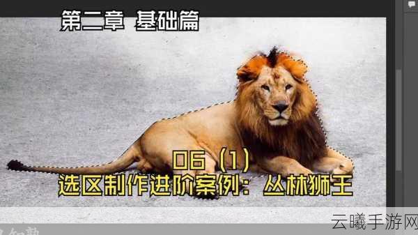 疯狂动物园，驯服狮子秘籍大公开，掌握技巧轻松捕获丛林之王