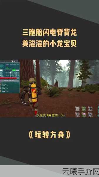 方舟，生存进化手游卡蛋获取技巧及孵化方法全攻略