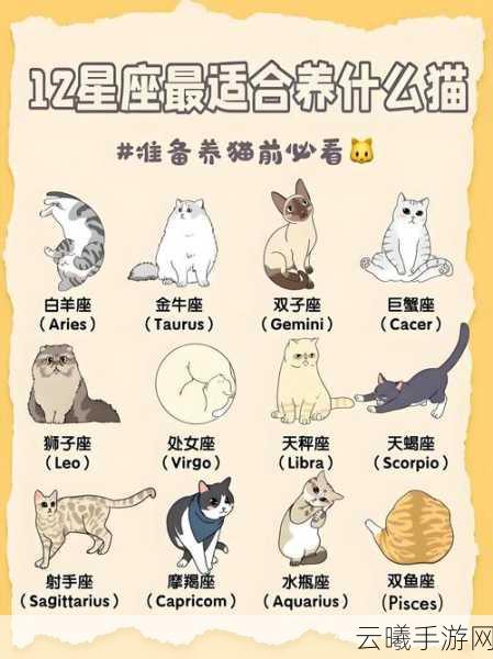 喵星人发展史概览：星际迁徙攻略，如何选择最佳迁居星球？喵星迁徙决策指南