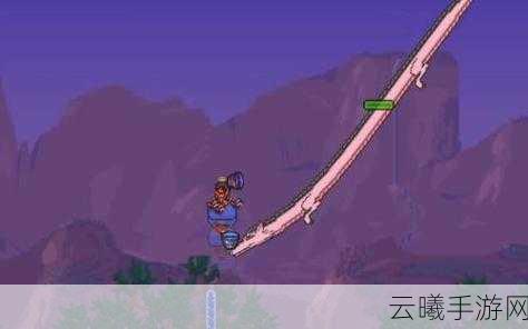泰拉瑞亚白龙驯服揭秘，探索无限可能与趣味玩法
