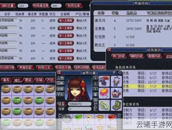 梦幻西游手游五开五门最佳配置全攻略，打造无敌阵容，畅享游戏乐趣！
