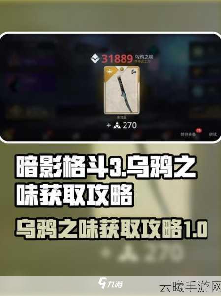 暗影格斗，乌鸦之味最新获取指南与必备攻略全解析