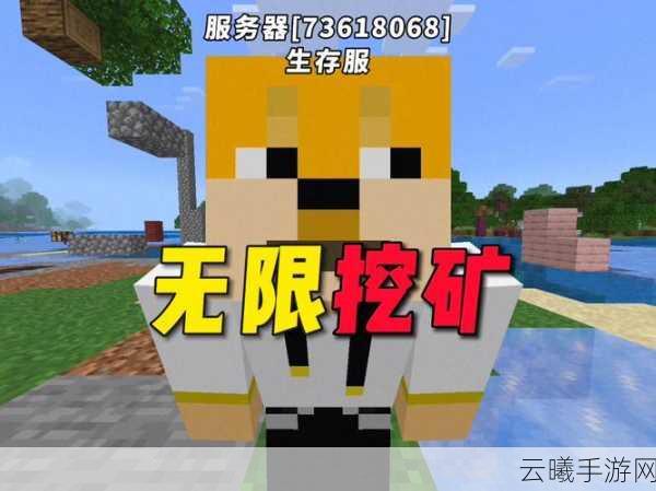 我的世界生存服务器新手服全攻略，从零开始的冒险之旅