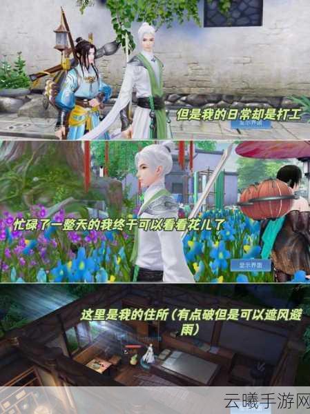 倩女幽魂手游iOS与安卓平台体验深度对比及趣味玩法揭秘
