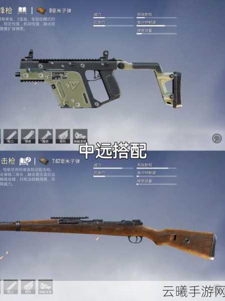 和平精英枪精准射击全攻略，解锁枪神之路的技巧与实战秘籍