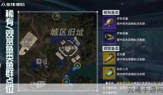 星球重启钓鱼爱好者必看指南，稀有鱼群位置全揭秘与趣味玩法探索