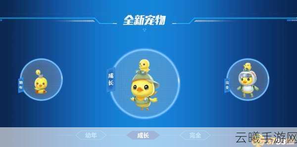 QQ飞车手游探险鸭宠物技能全揭秘及趣味玩法大放送