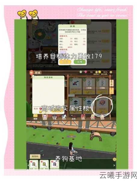 小森生活手游资讯,揭秘羊驼毛卷制作秘籍,打造梦幻田园生活