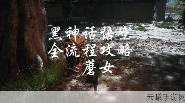 黑神话，悟空手游资讯，揭秘九霞清醑获取方法，探索奇幻西游新篇章