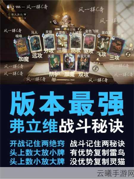 哈利波特,魔法觉醒最强卡组揭秘与趣味玩法探索