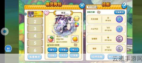口袋妖怪黑2手游道具金手指揭秘,神奇糖果与回PP道具助你称霸!