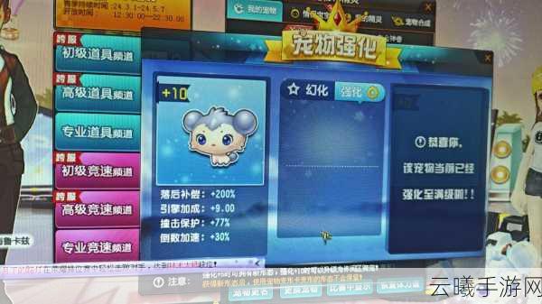 QQ飞车手游资讯,揭秘道具赛中宠物搭配秘籍,打造无敌竞速之旅