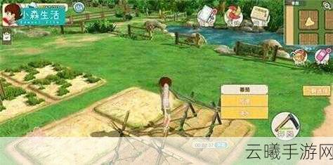 小森生活手游资讯,轻松享受田园牧歌,直接买菜开启悠闲乡村日常