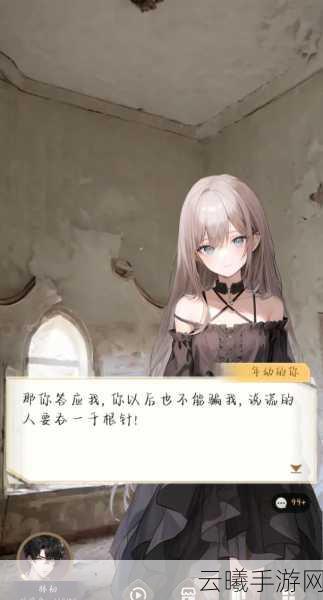 情感交织的命运方舟,深度探索宠物之爱的奇妙之旅