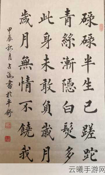 烟雨江湖书法技艺深度解析,墨香江湖,笔走龙蛇