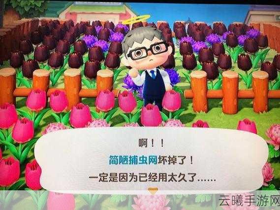 动物森友会金斧子获取攻略，解锁高效砍伐，开启森林探险新纪元