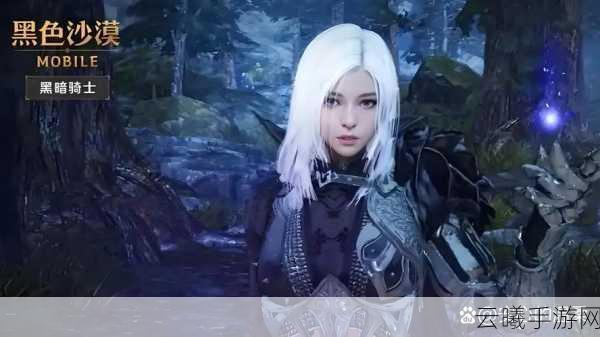 黑色沙漠手游隐藏任务全揭秘,探索未知,挑战残暴士兵!
