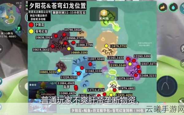 创造与魔法夕阳花寻觅指南，位置与刷新时间全揭秘
