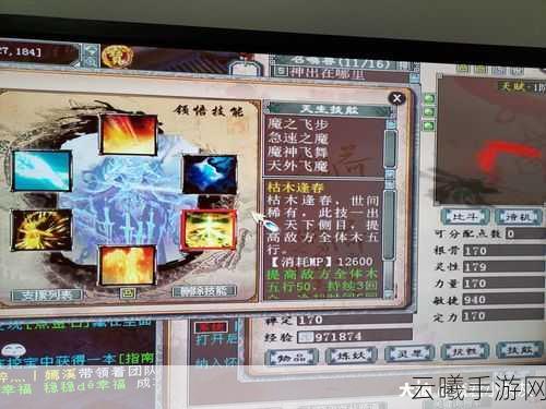 大话西游2手游新篇，妙手回春，神技背后的真相探索——是仙灵庇佑还是策略奇谋？