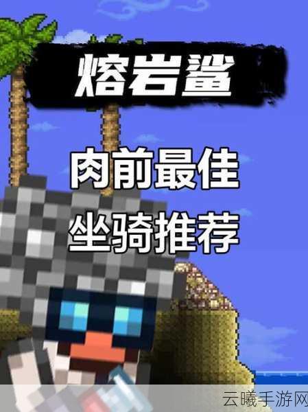 泰拉瑞亚飞行坐骑速度比拼,谁才是天空之王?