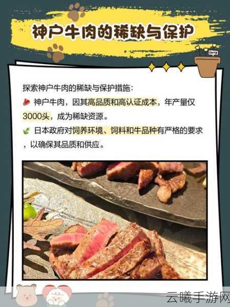 探索小森生活：神户牛排的独特烹饪奥秘