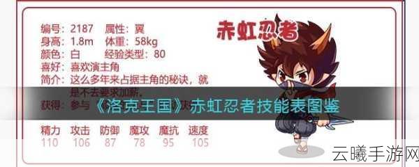洛克王国忍者考试高分攻略秘籍全解锁,掌握绝技,称霸忍者界!