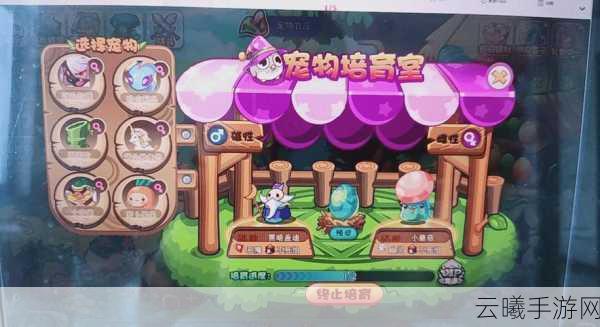 洛克王国罗伦斯兑换材料全攻略，探索与冒险的奇妙之旅