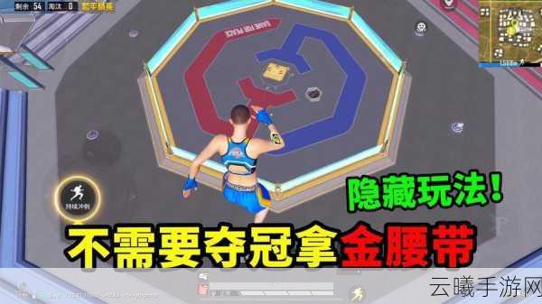 和平精英天空格斗赛金腰带获取全攻略，解锁拳王形态，畅享激战乐趣！